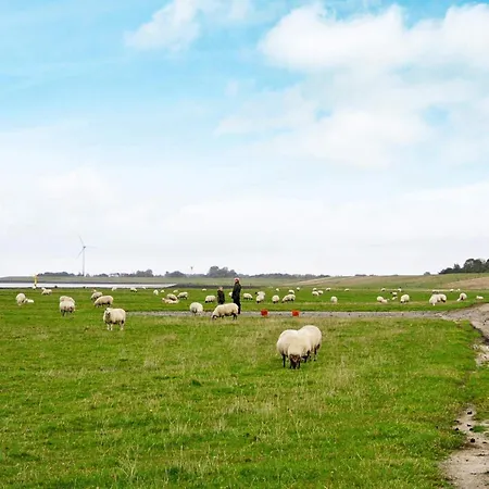 Feriehus 6 Person In *